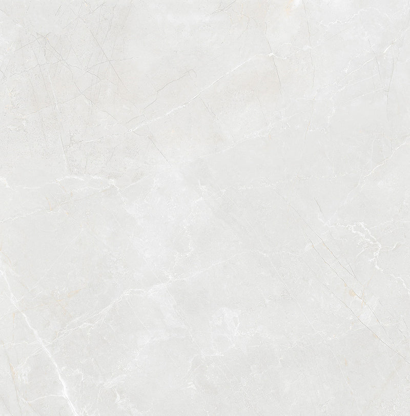 Elegant Grey Stone Effect Carving Tile – 60x60 cm