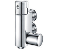 Douche Valve